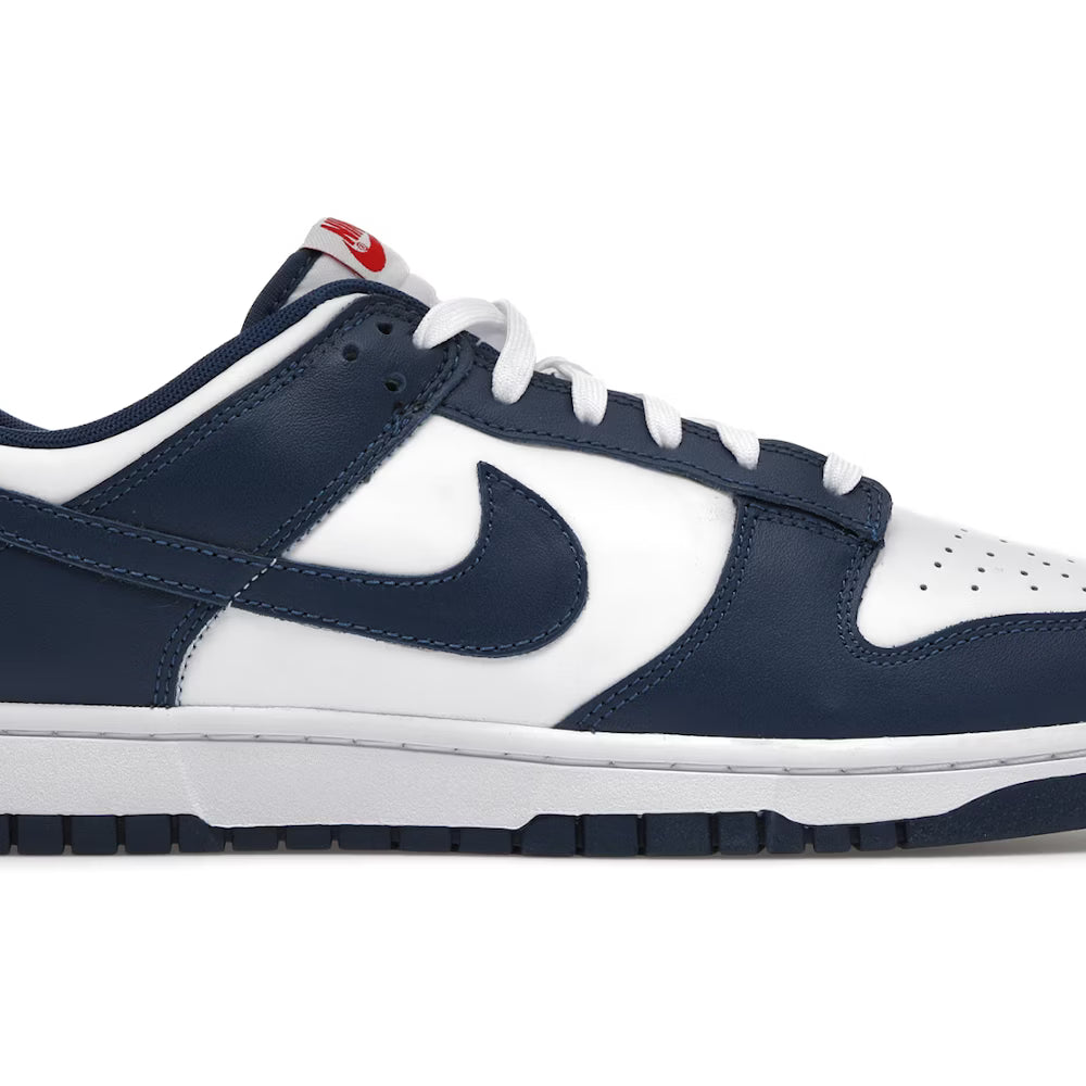 Nike Dunk Low Valerian Blue