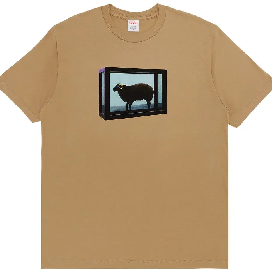 Supreme Tee Ram Tan