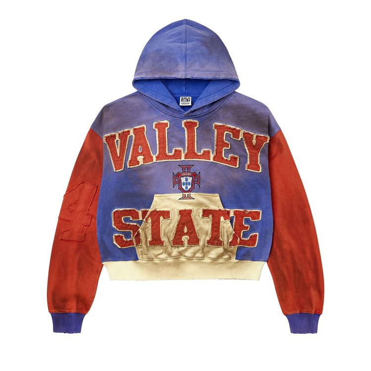 Vale Alumni Hoodie Multicolor