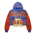 Vale Alumni Hoodie Multicolor