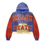 Vale Alumni Hoodie Multicolor