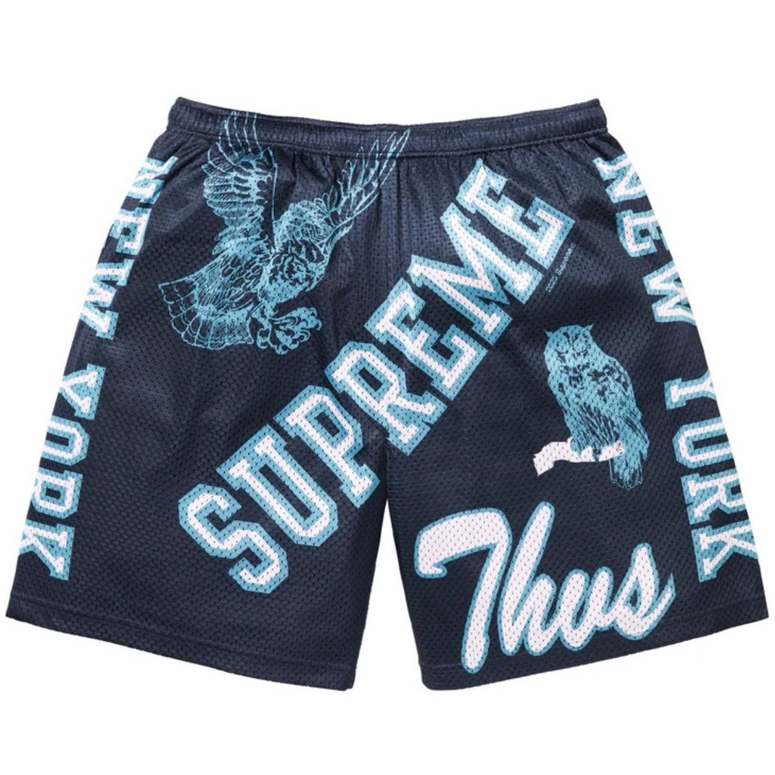 Supreme Varsity Mesh Short Navy